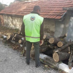 Регионална дирекция по горите – Кърджали със засилен контрол при снабдяване на населението с дърва за огрев