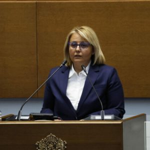Айтен Сабри: Не сме напълно удовлетворени от промените в Изборния кодекс