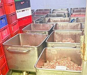 БАБХ откри близо 6 тона негодни храни в Димитровград