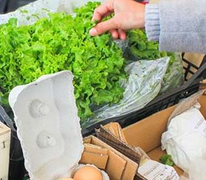 Нов ръст в цените на повечето основни храни, плодове и зеленчуци